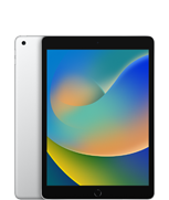 iPad (9ª geração)