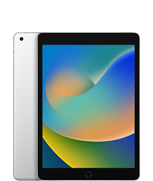 iPad (9ª geração)