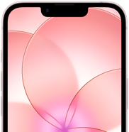 Parte da frente do iPhone 17e rosa-pálido com Ceramic Shield 2 mostrando a imagem de fundo de uma flor cor-de-rosa